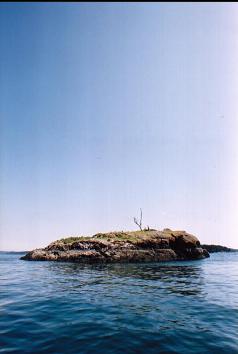 ISLAND FROM WEST SIDE