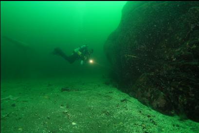 self-portrait at base of wall with sealion in background on left