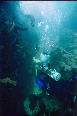 DIVER APPROACHING TUNNEL ENTRANCE