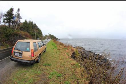 parked next to the road