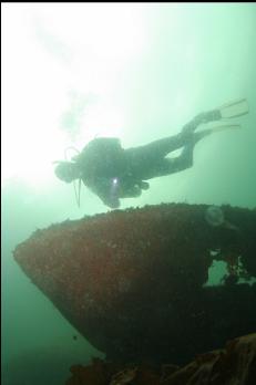 BOW OF SHALLOWER BOAT HULL