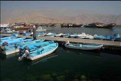 DIBBA HARBOUR