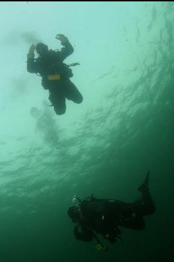 descending to top of reef