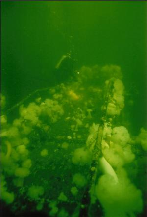 DIVER ON TOP OF MAST