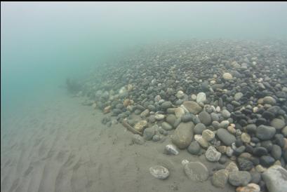 border of pebbles and sand