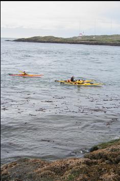 KAYAKERS IN ENTERPRISE CHANNEL