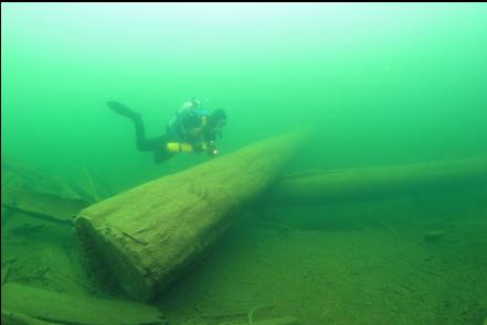 large log