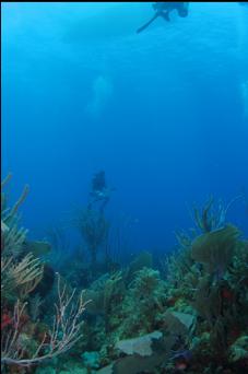 BOAT ABOVE REEF