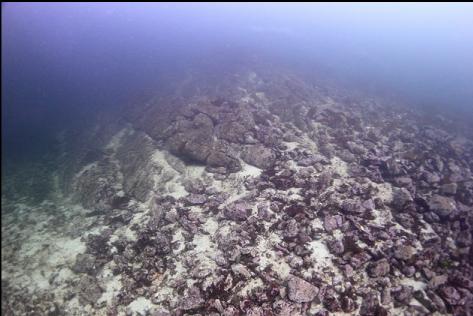 reef and rubble slope