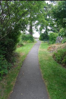 TRAIL TO SHORE