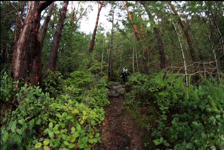 up the trail