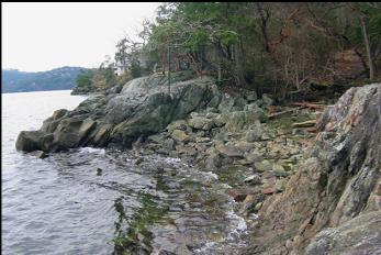 ROCKY BEACH