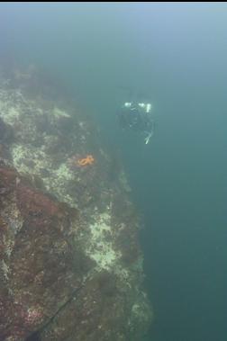 IN SHALLOWS