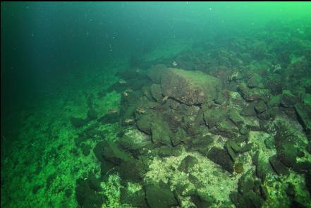 boulders at the base of the slope