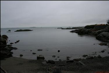 LOOKING OUT OF FUNNEL COVE