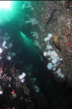 narrow entrance to cavern