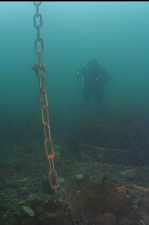 RICHARD AND MOORING CHAIN