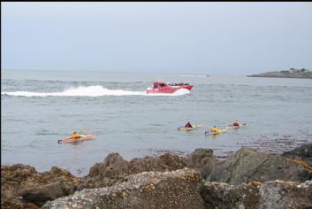 KAYAKERS AND WHALE-WATCHING BOAT