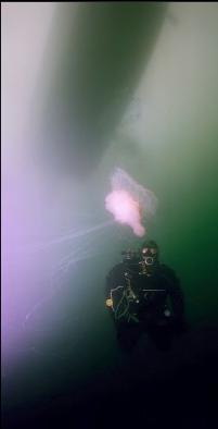 JELLYFISH UNDER BOAT