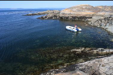 anchored in bay