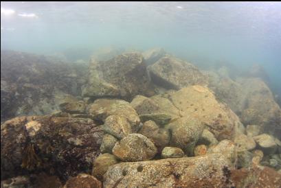 loose rocks in bay