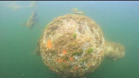 metal buoy near the surface