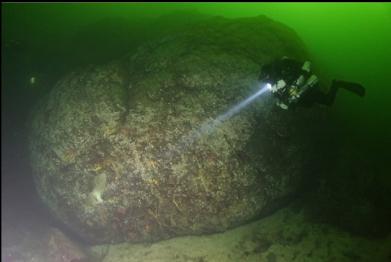 light pointing at boot sponge