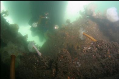 above boiler, below dock