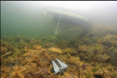 anchored boat