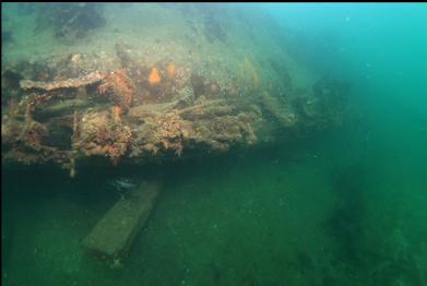 metal tank at top of picture and remains of side of hull
