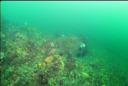 the sewer pipe sticking out of the end of the boulder pile