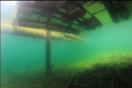 under one of the docks
