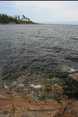 SAXE POINT FROM DENNISTON PARK