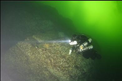 boot sponge on wall
