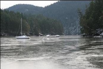 LOOKING DOWN THE INLET