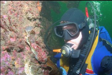 LOOKING AT SMALL BUFFALO SCULPIN