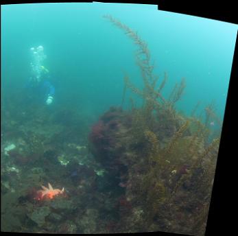 SHALLOW MINI-PANORAMA