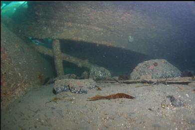 looking under wreckage with stern tube on left