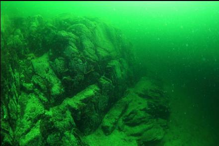 wall on shallow reef