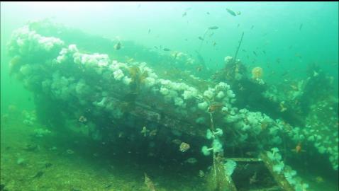 side of the wreck near the stern