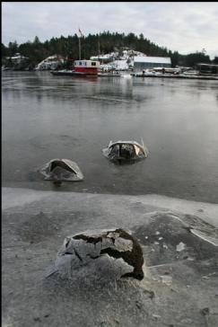 ROCKS POKING THROUGH ICE