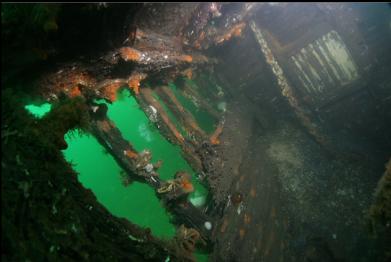 inside chain locker