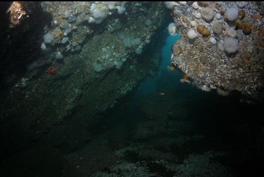 inside small tunnel