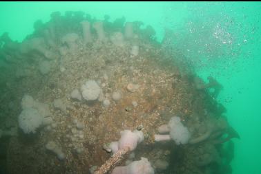 looking up under stern