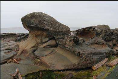 SANDSTONE ON BEACH