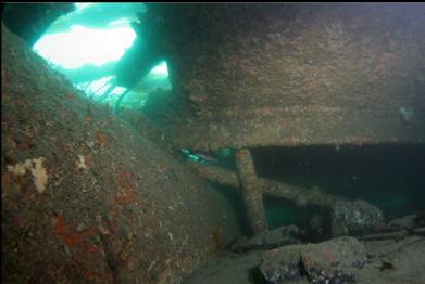 looking under wreckage with stern tube on left