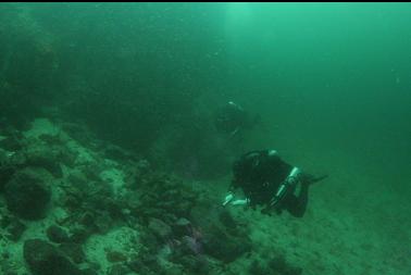 swimming to wall