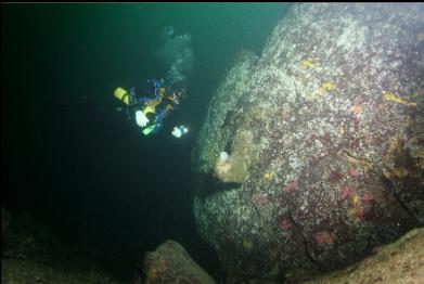 boot sponge at bottom of wall