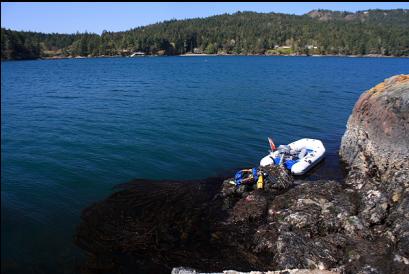 boat tied to islet