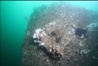 anchor on side of bow